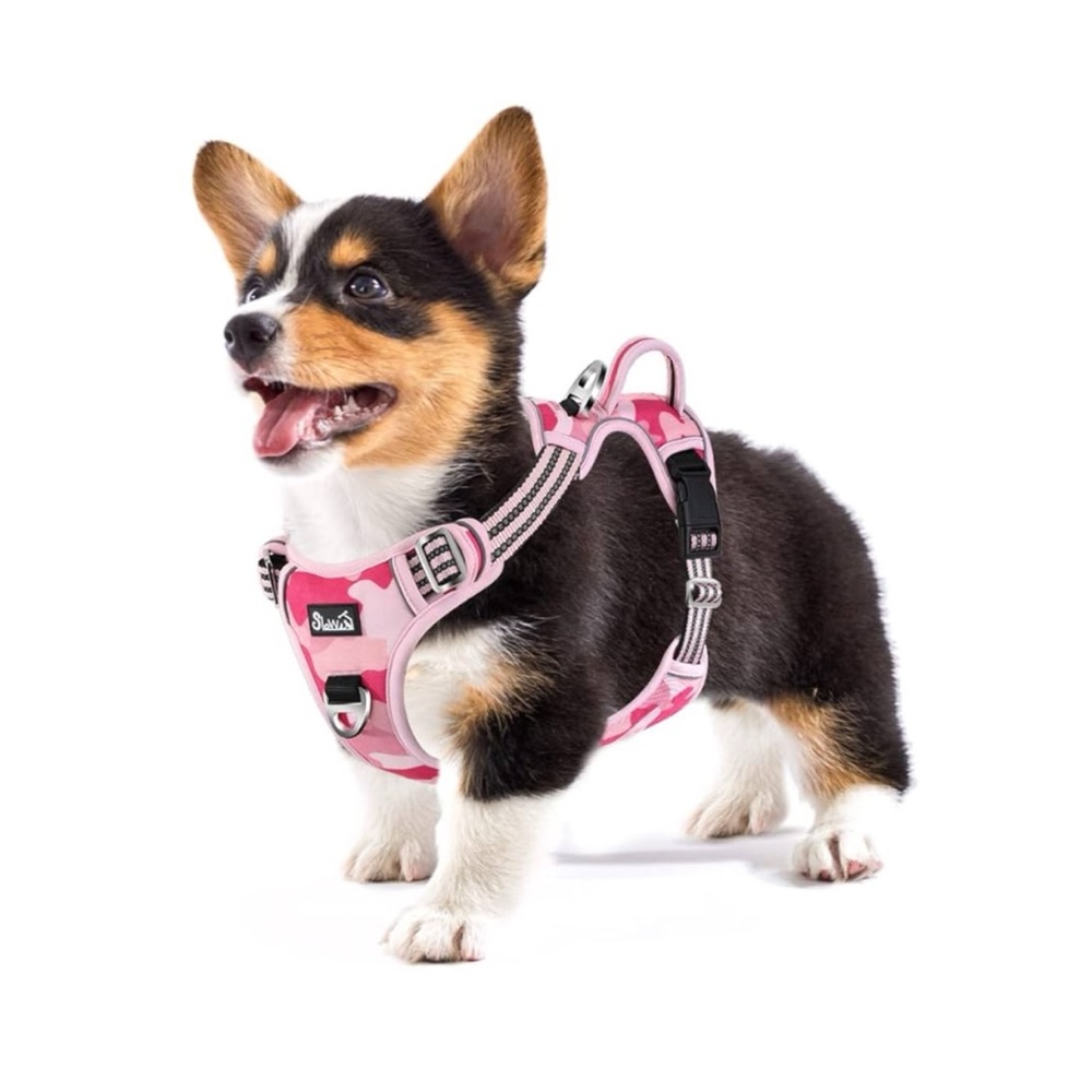 👯‍♀️Host Pick⚡️ SlowTon No Pull Dog Harness